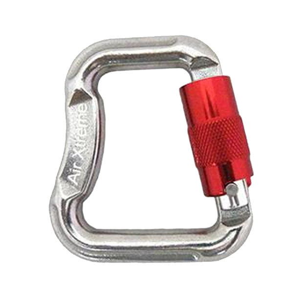 Stainless Steel Carabiner Set of 2