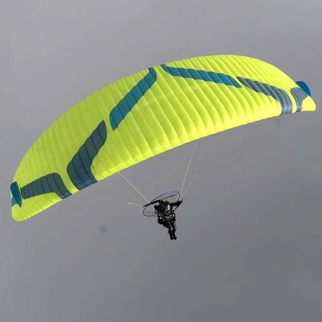 Viper 6