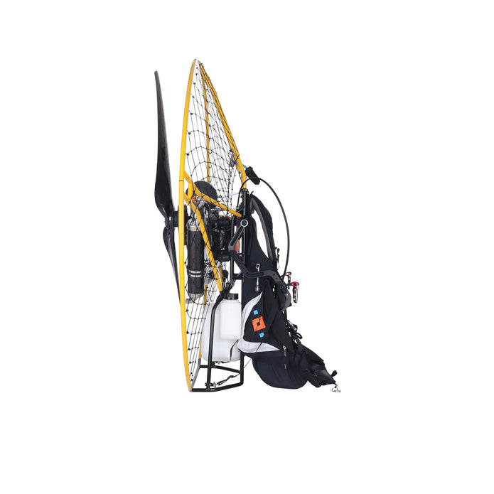 Daytona Sport Gold