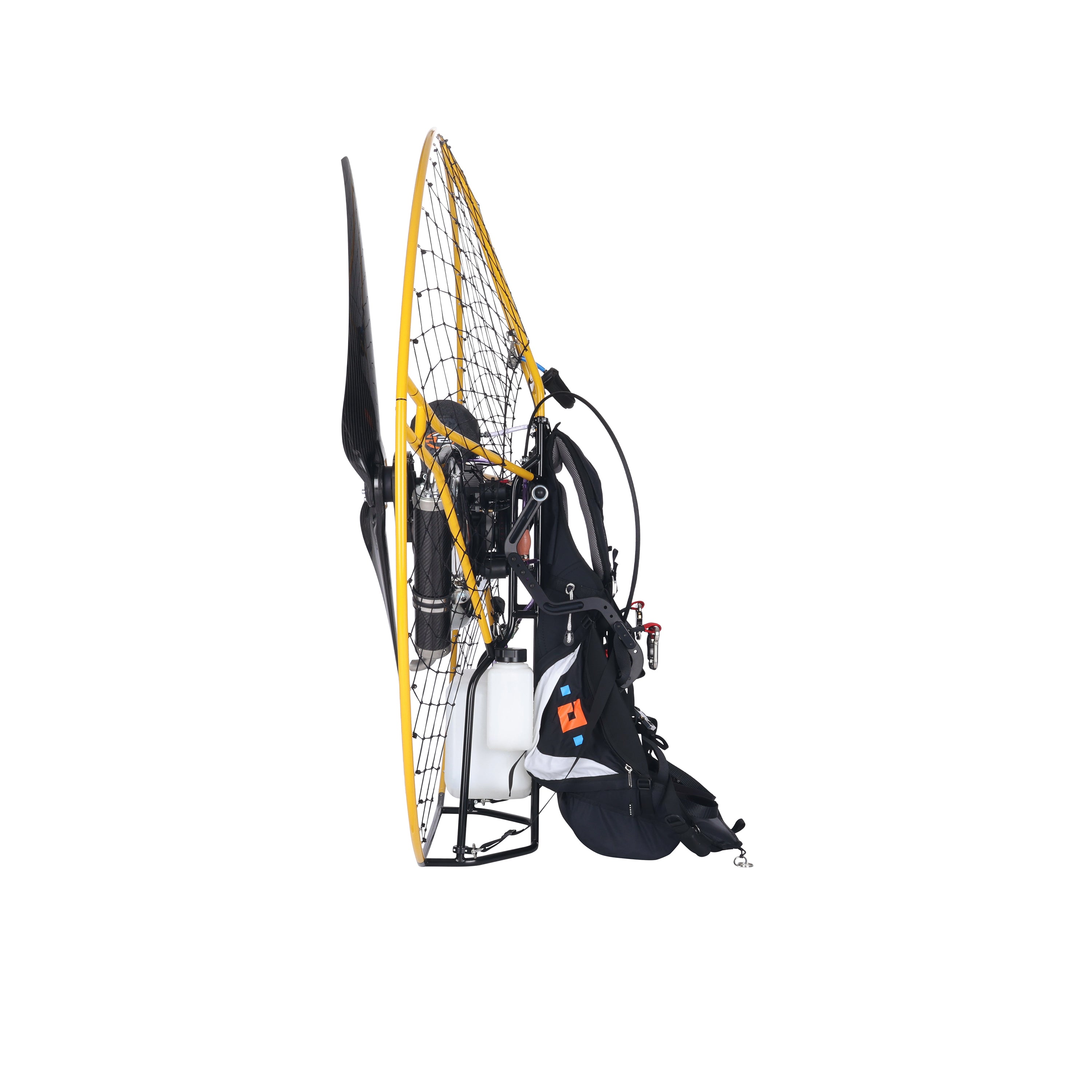 Daytona Sport Gold